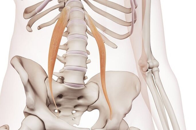 The nature of spinal osteochondrosis disease in the waist area
